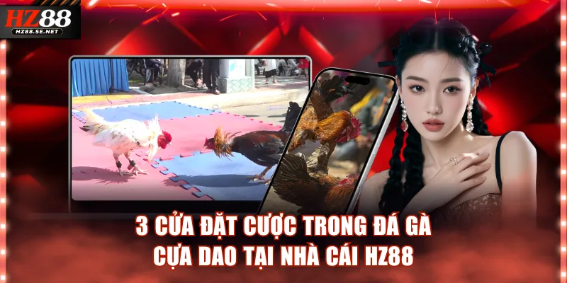 3 cửa đặt cược trong đá gà cựa dao tại nhà cái HZ88