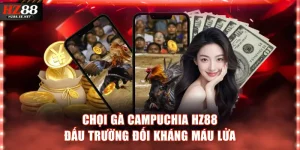 Chọi gà Campuchia