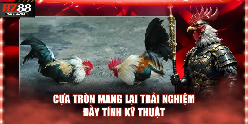 Cựa tròn mang lại trải nghiệm đầy tính kỹ thuật
