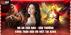 Đá gà cựa dao