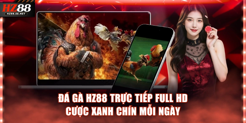 Đá Gà HZ88 - Trực Tiếp Full HD Cược Xanh Chín Mỗi Ngày