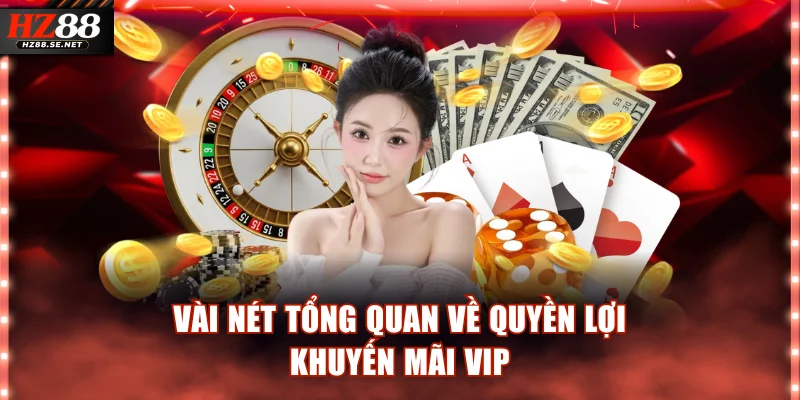 Vài nét tổng quan về quyền lợi khuyến mãi VIP